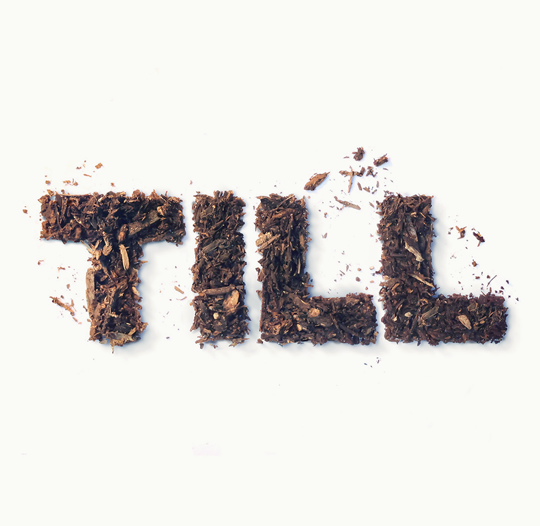 Studio logo